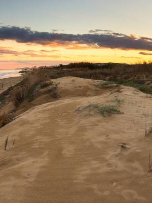 Guardamar del Segura